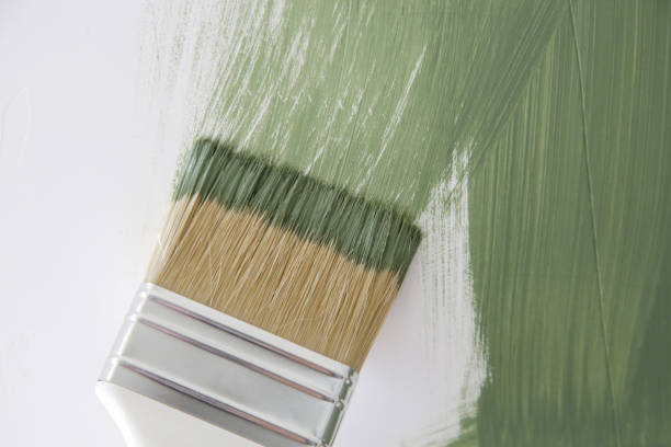 Reliable Douglass Hills, KY Mold Removal Solutions