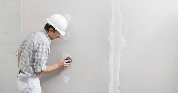 Best Post-Construction Mold Inspection  in Douglass Hills, KY