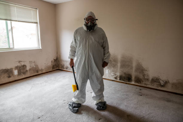 Best Mold Damage Restoration  in Douglass Hills, KY