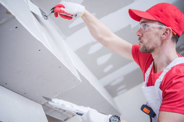 Best Real Estate Mold Inspection  in Douglass Hills, KY